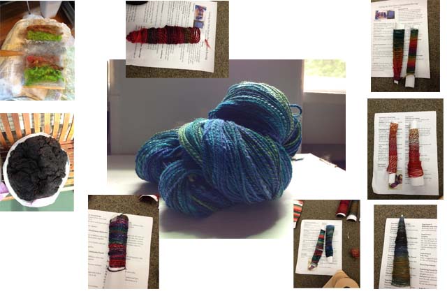 Experiments in spinning, including the purchase of a first place fleece I'm still a little too scared to touch.