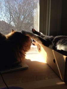 Mom, he's touching me!