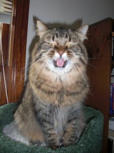 It's Stanley's turn to have his say.