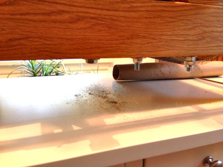 A slowly growing pile of junk on the table underneath the drum carder.